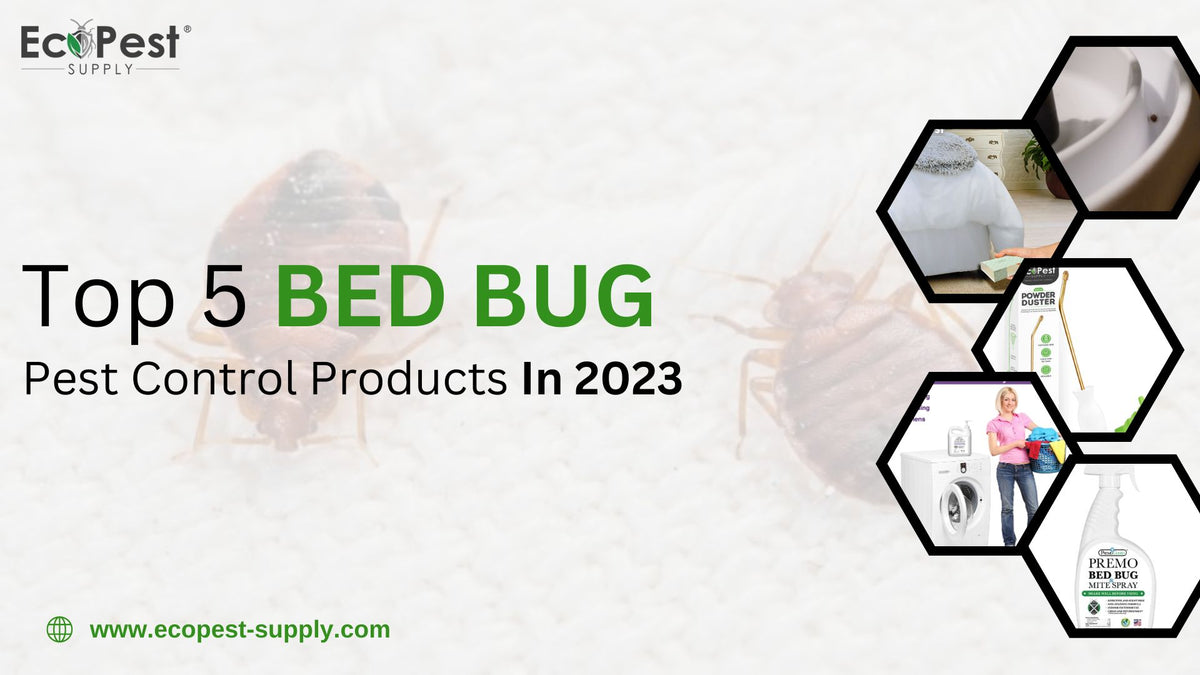 Complete Guide to Bed Bug Traps (+ 3 Best Ones in 2023!)