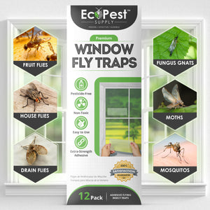 Window Fly Traps by Catchmaster - 48 Count, Ready to Use Indoors. Insect,  Bugs, Fly & Fruit Fly Glue Adhesive Sticky Paper - Waterproof Easy