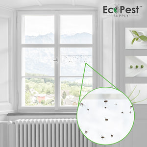 Garsum 120 Pack Window Fly Sticky Traps Indoor Clear,House Fly Paper Bug  Catcher, Fly Tape Glue Strips Gnat Killer Window Decal for Home