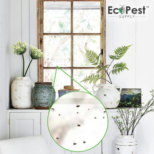 Window Fly Traps – 12 Pack | Transparent Sticky Fly Trap for Windows by EcoPest Supply
